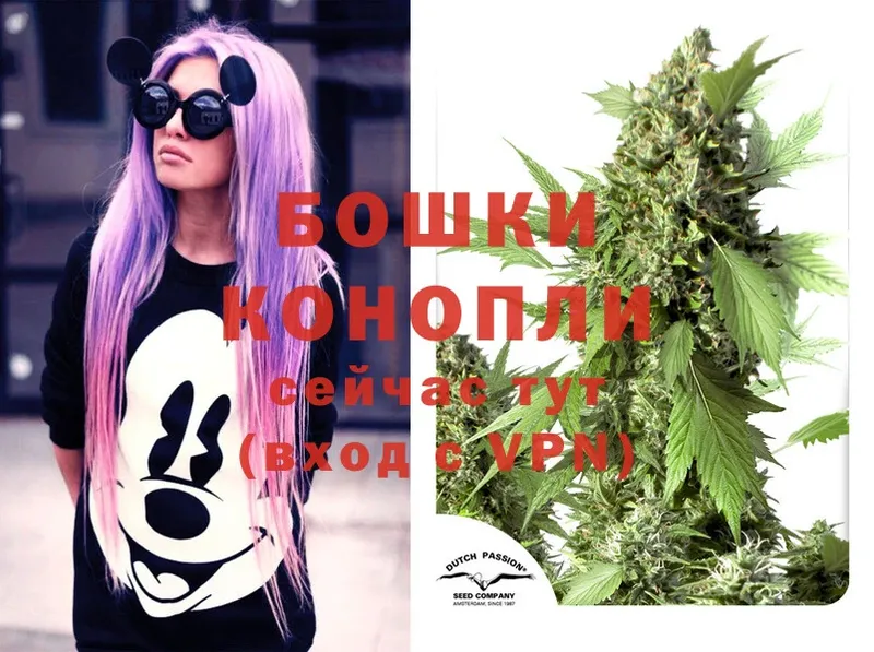 закладки  Белореченск  Бошки марихуана Ganja 